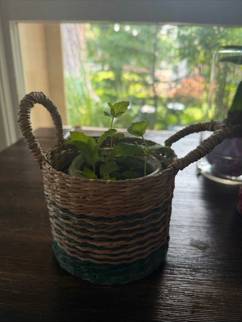 Mini- Handwoven Natural Woven Planter Basket - including pot for table